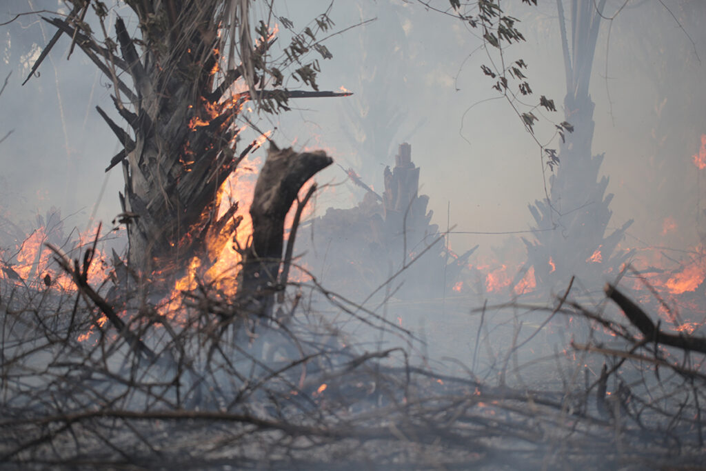 Staying Safe During Bushfire Season | Silverstone Perth